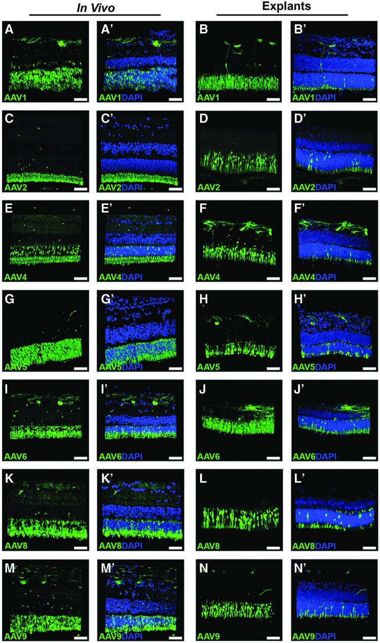 Figure 6.