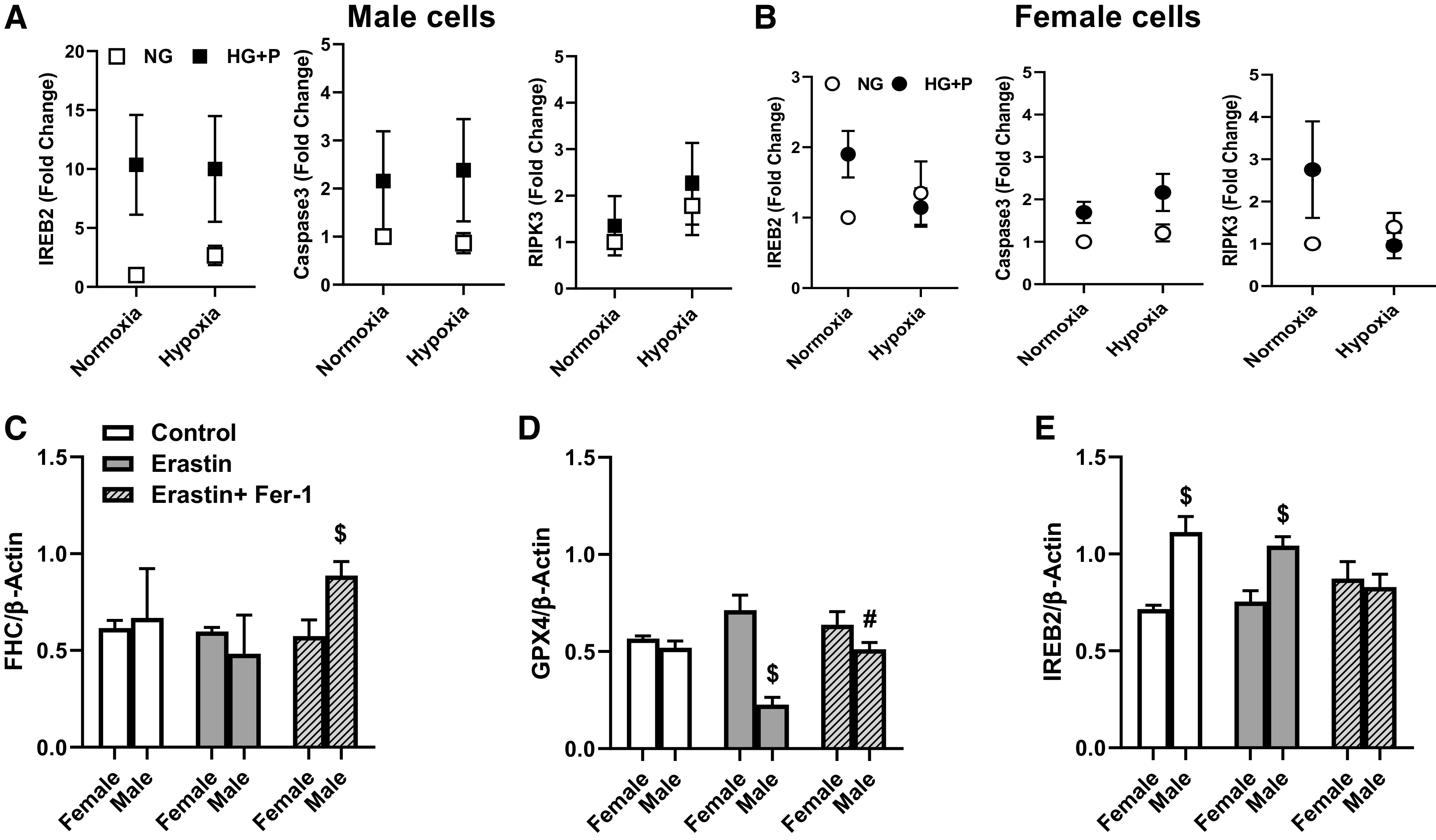 Figure 6.