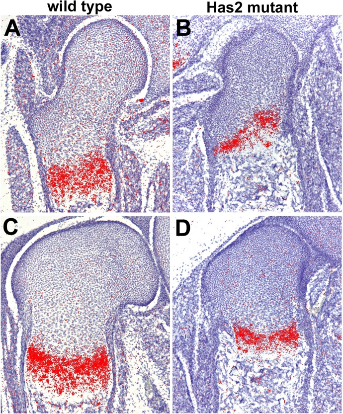 Fig. 9.