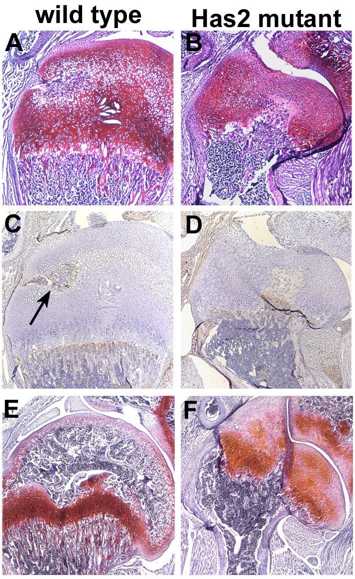 Fig. 14.