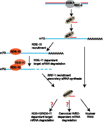 Figure 6.