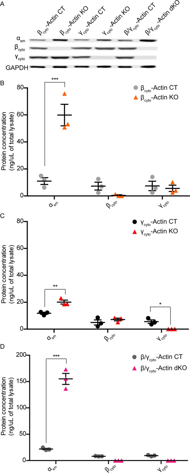 FIGURE 5: