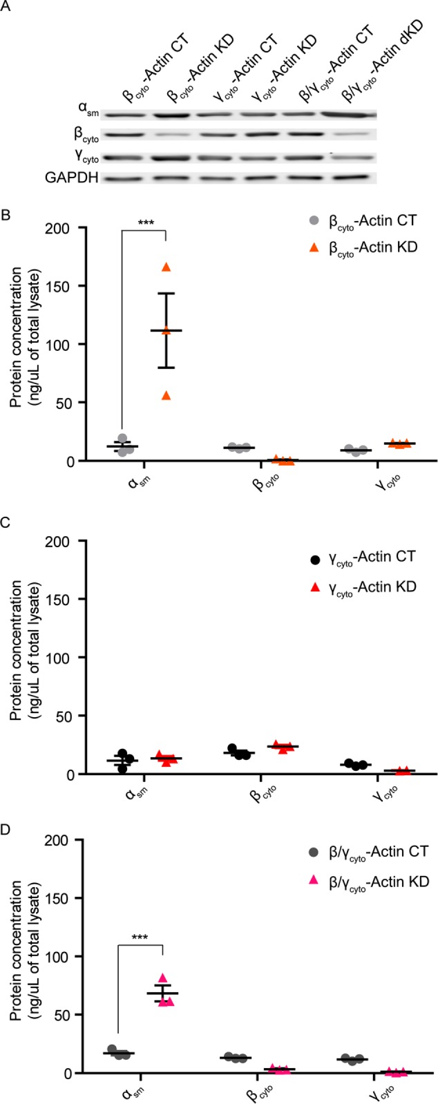 FIGURE 7: