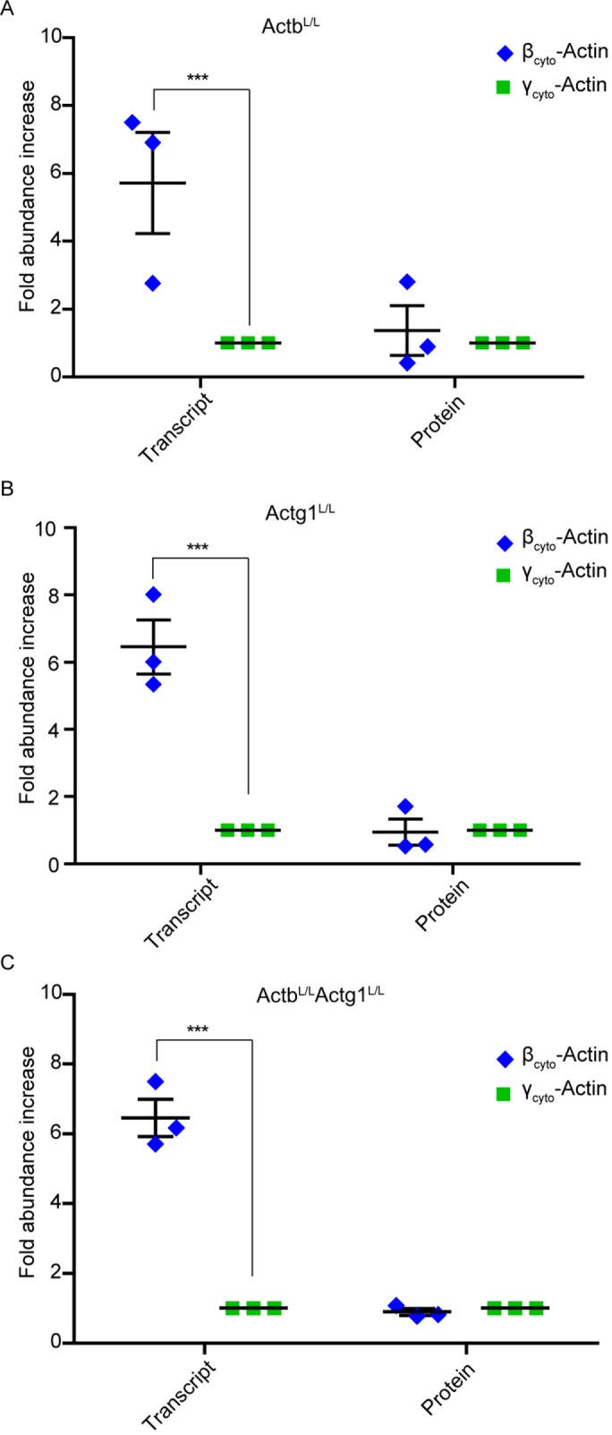 FIGURE 6: