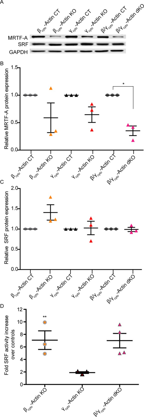 FIGURE 10: