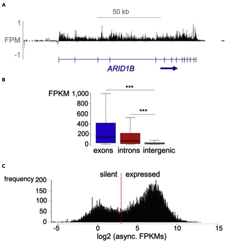 Figure 1