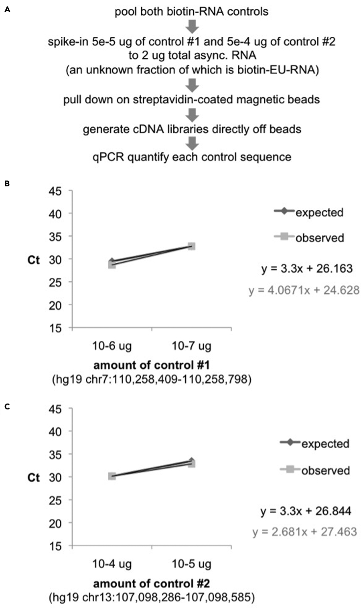 Figure 6