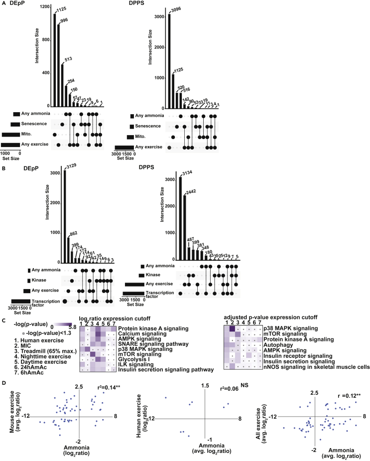 Figure 6