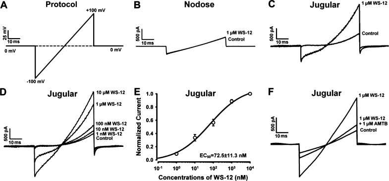 Fig. 3.