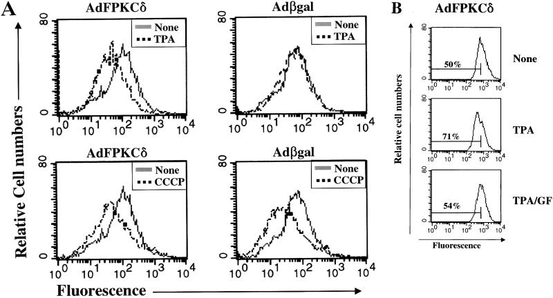 FIG. 12