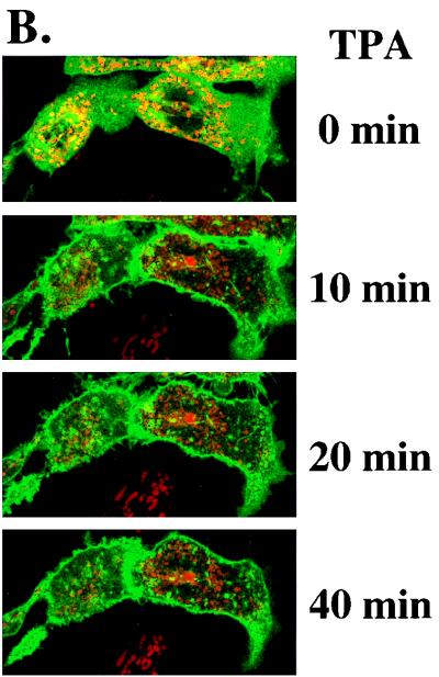 FIG. 9