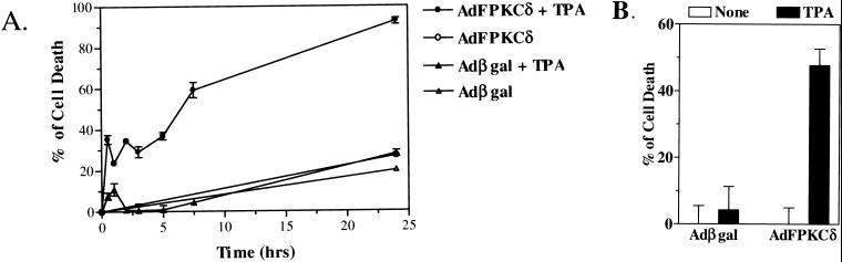 FIG. 6