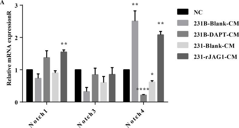 Supplementary figure s1.tif