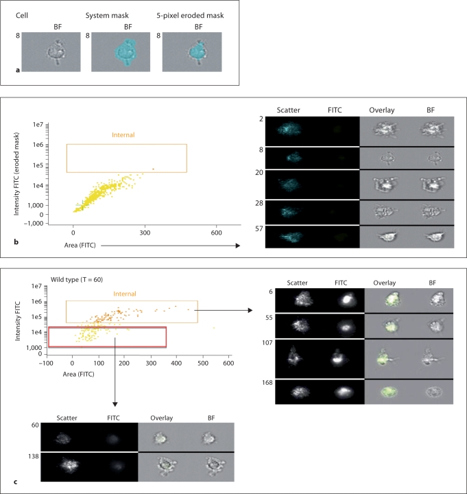 Fig. 3