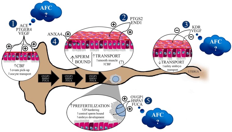 Fig 10