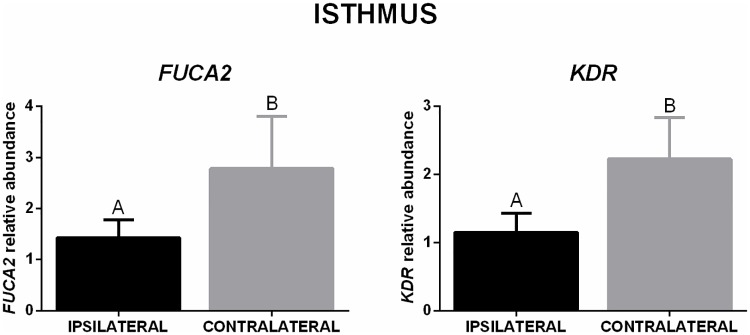 Fig 8