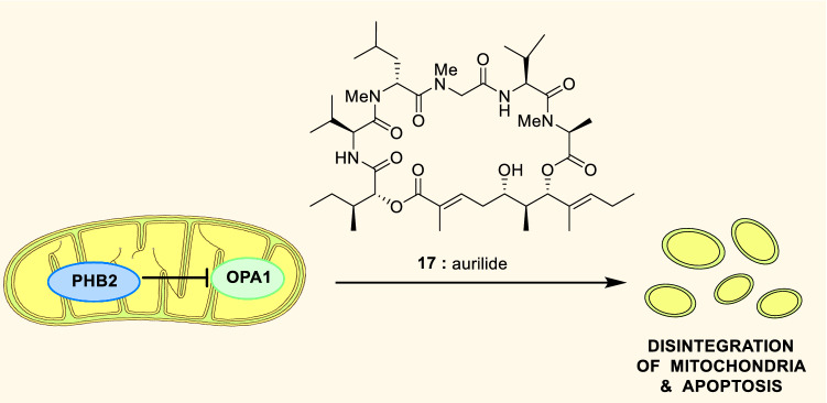 Fig. 12