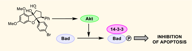 Fig. 8