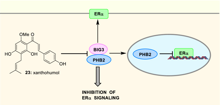 Fig. 17