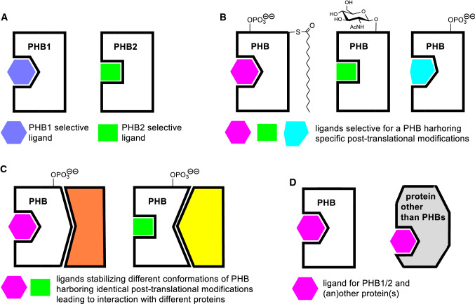 Fig. 20