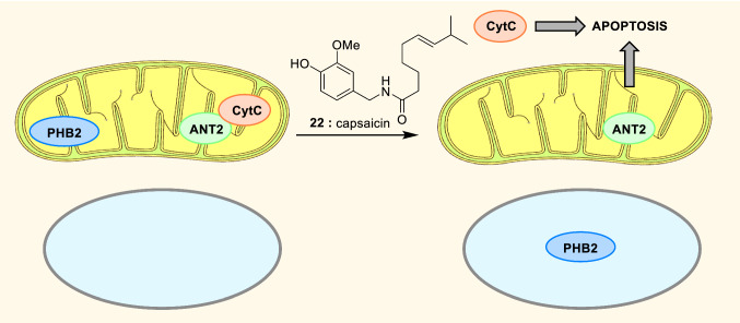 Fig. 16