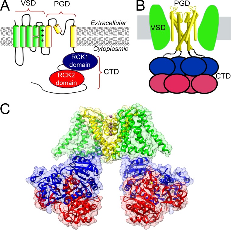 Figure 1.