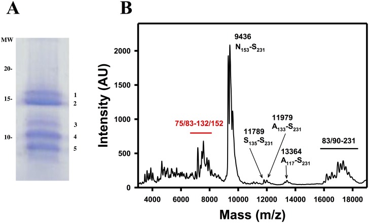 Fig 5