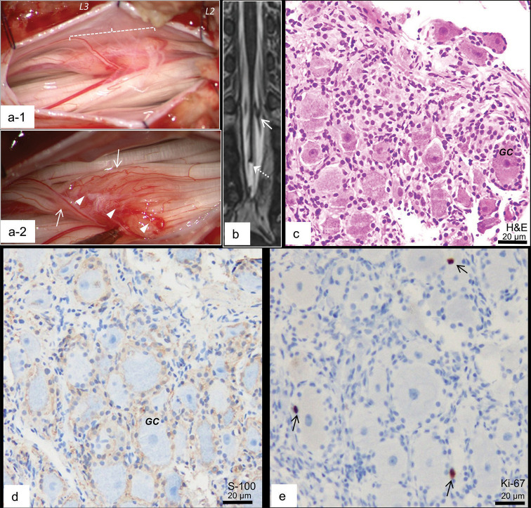 Figure 2: