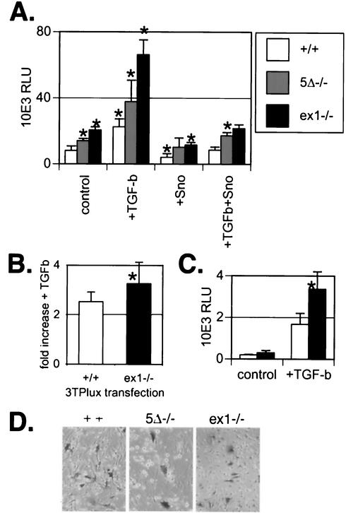 FIG. 8.