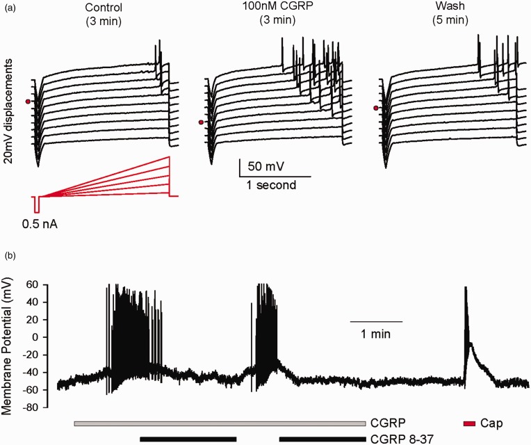 Figure 2.