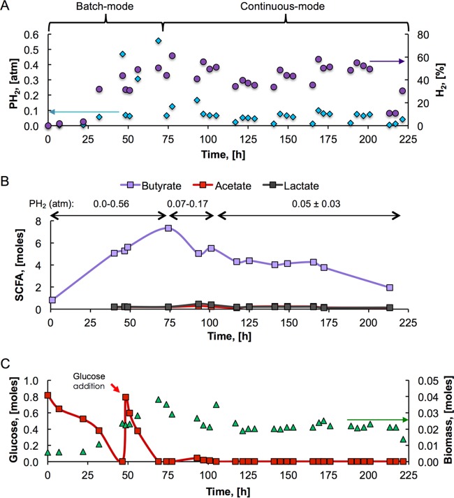 FIG 2 