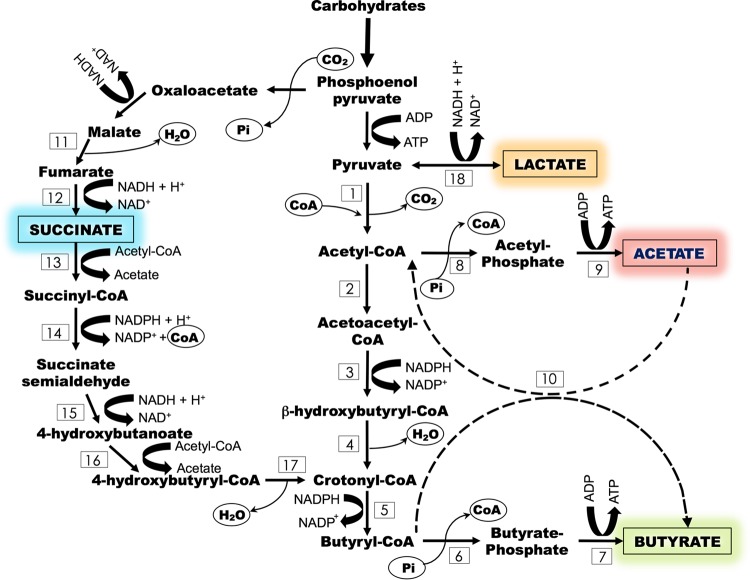 FIG 1 