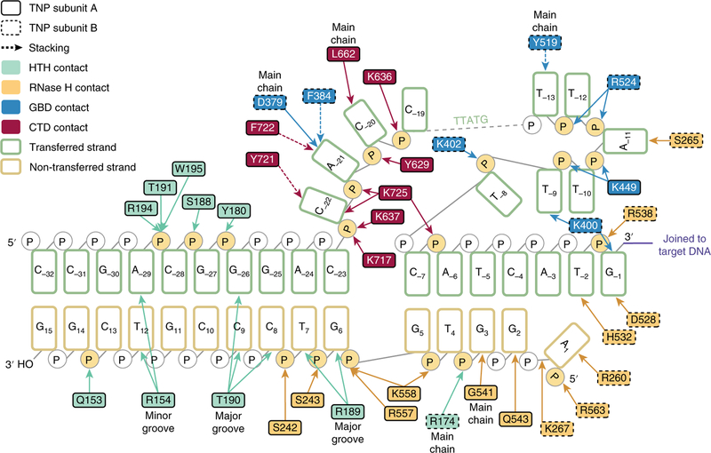 Fig. 4 |