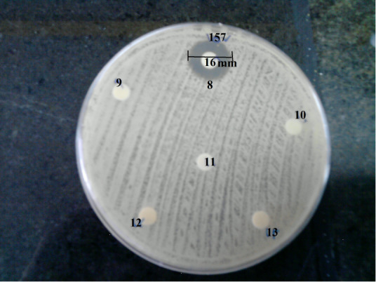 Fig. 2