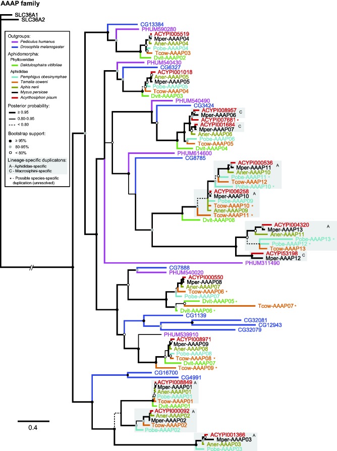 Fig. 3.—