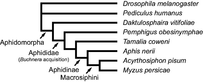 Fig. 1.—