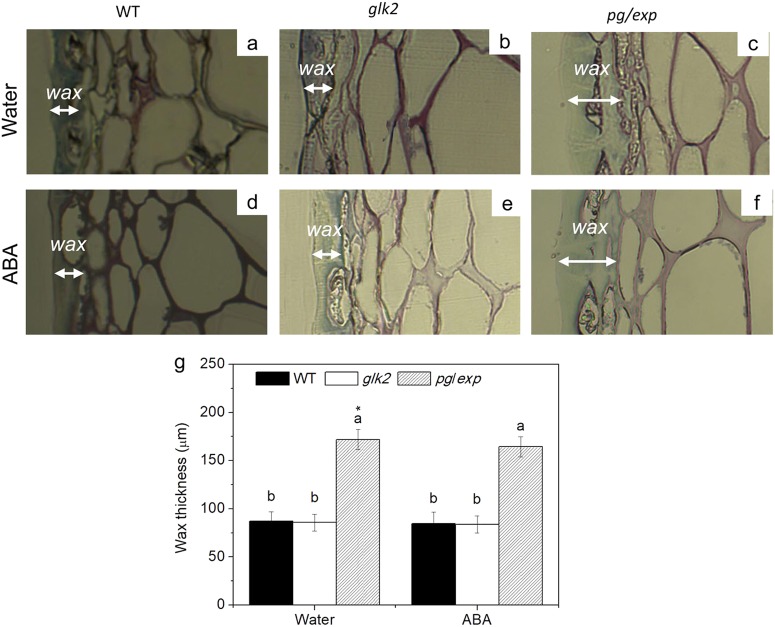 Fig. 8