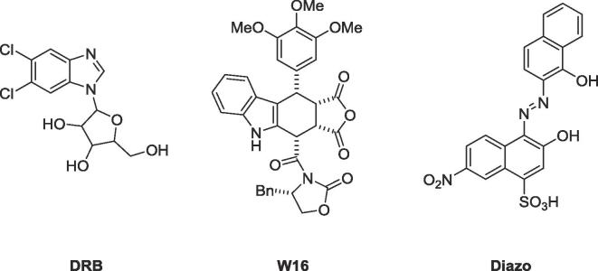 Fig. 1