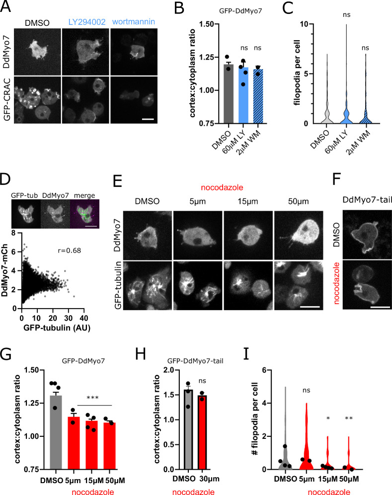 Figure 2—figure supplement 1.