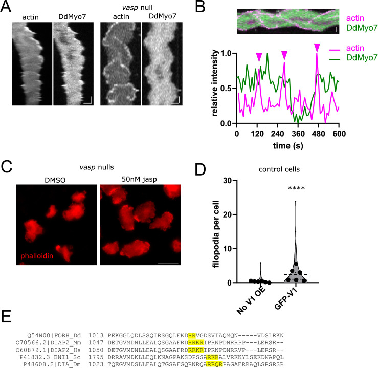 Figure 4—figure supplement 1.