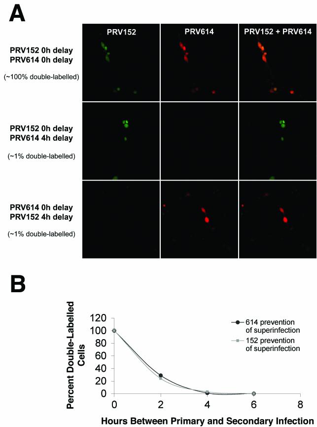 FIG.4.