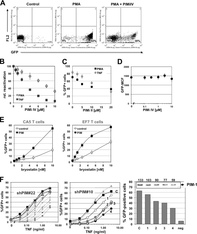 FIG 2