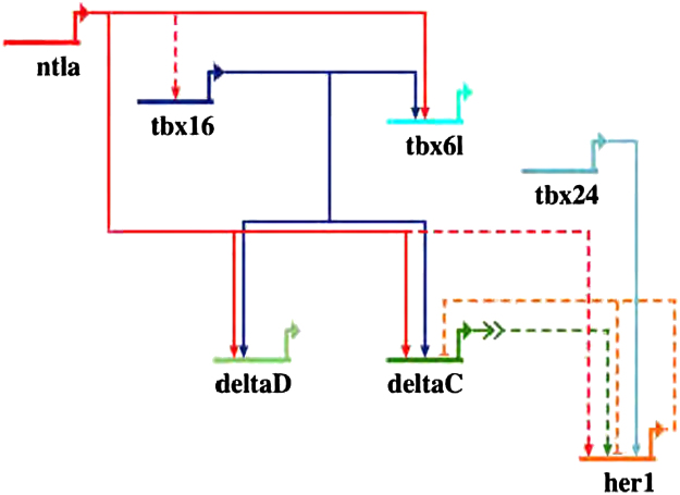 Fig. 6