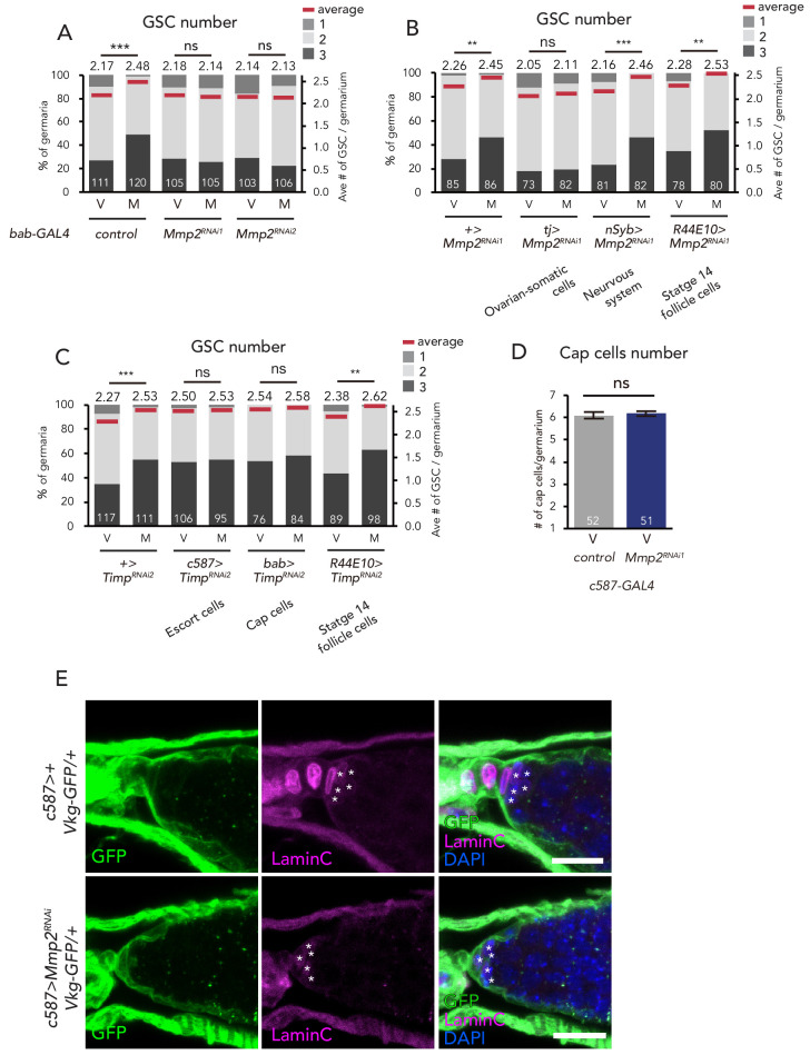 Figure 4—figure supplement 1.