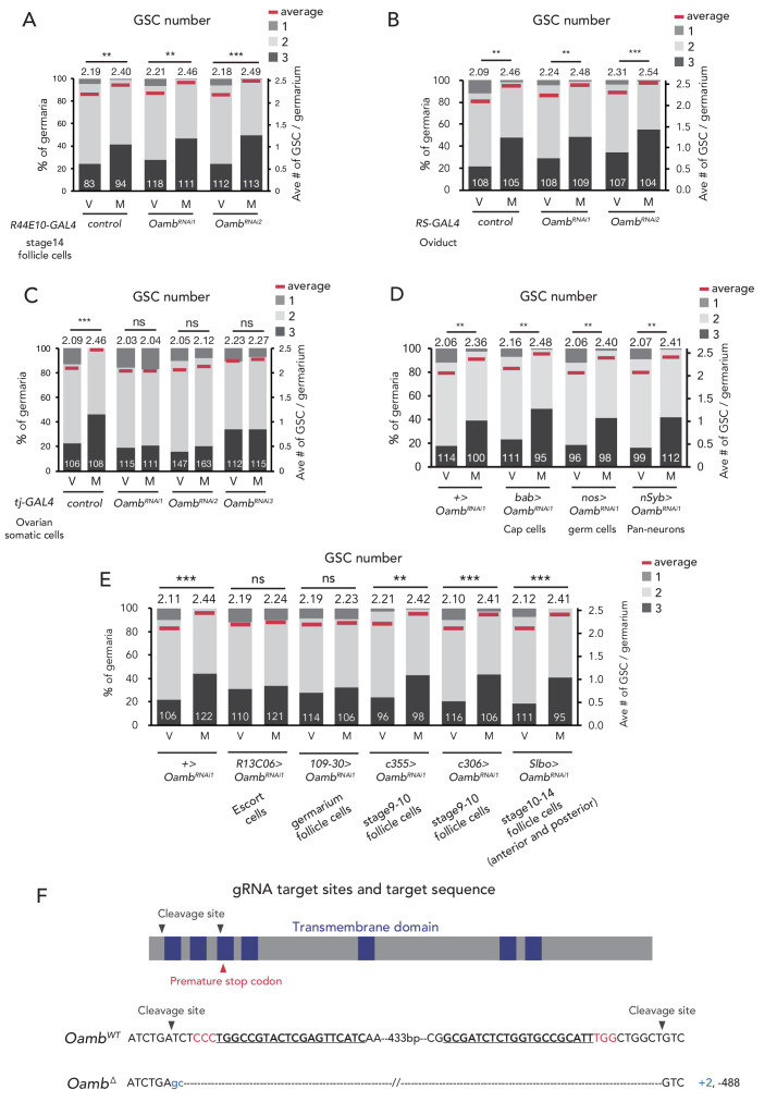 Figure 1—figure supplement 1.