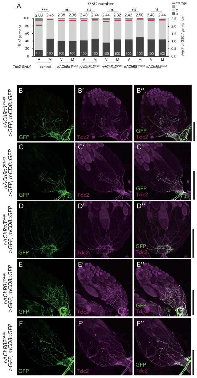 Figure 6—figure supplement 1.