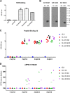 FIG 6