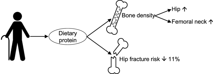 Unlabelled Image