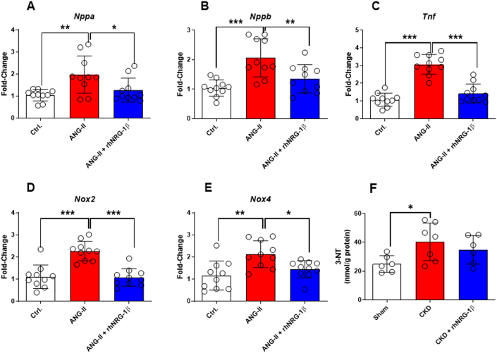 Figure 6