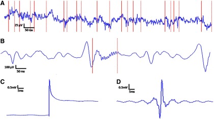 Fig. 3.